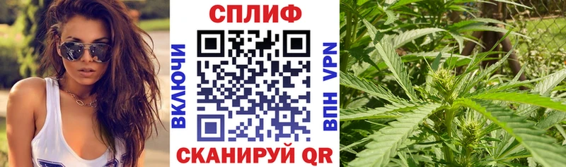 Купить COCAIN  A-PVP  Гашиш  Канабис  МЕФ  Кремёнки